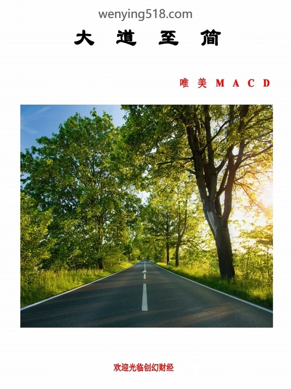 唯美MACD终极完美学习版 PDF 45页