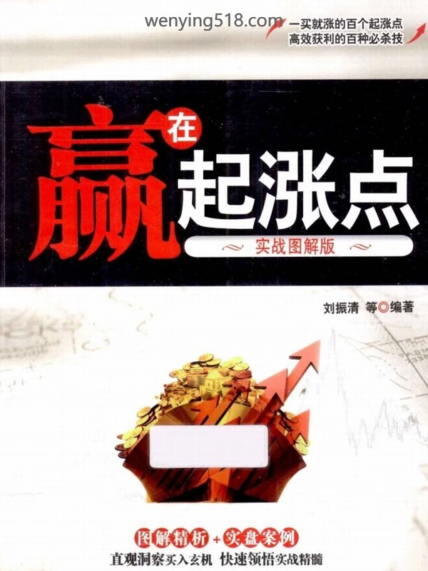 赢在起涨点：实战图解版 PDF 251页