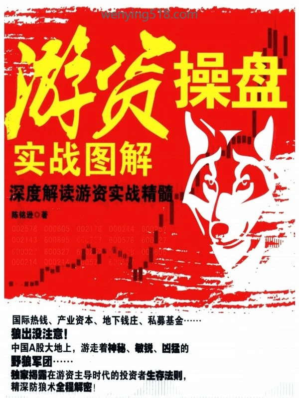 游资操盘实战图解 PDF 248页