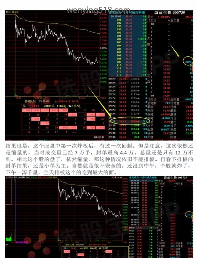 盘口语言精讲合集